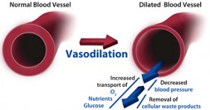nasal-breathing-vasodilation